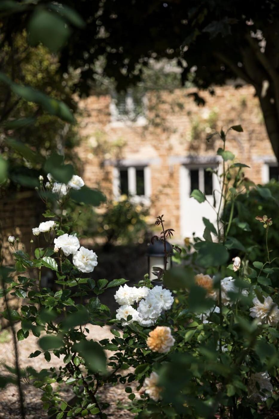 Two Rose Walk Cottage Cotswolds Moreton-in-Marsh Exterior photo